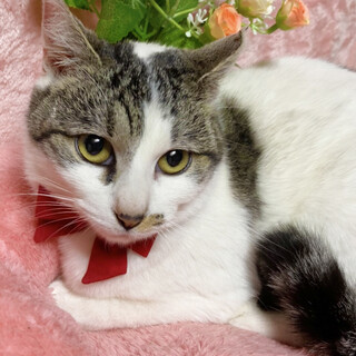 おっとり♪臆病だけど優しい女の子