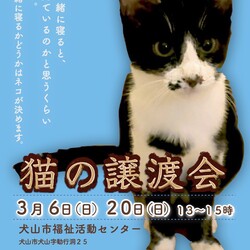 ねこの譲渡会＠犬山市福祉活動センター