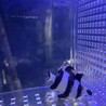 ヨスジリュウキュウスズメダイ 2匹 サムネイル3