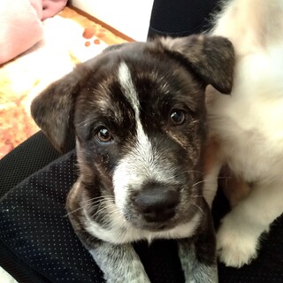 「禄（ろく)」男の子