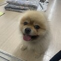優しく育ててくださる方、お願い致します。