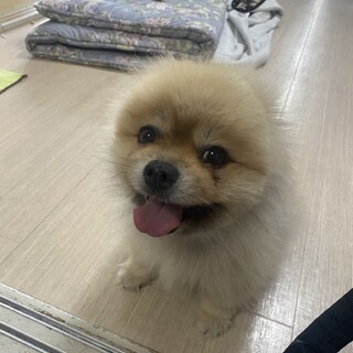 優しく育ててくださる方、お願い致します。