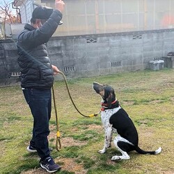 総社市ＡＷＡしつけ教室　＜雨天中止＞ サムネイル2