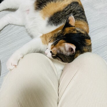 そろそろ仕事に行ってもいいですか？