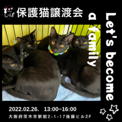 team しっぽ譲渡会