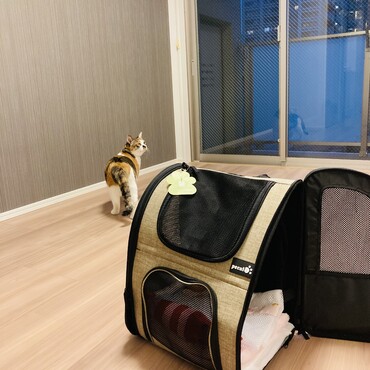 お引っ越しの日