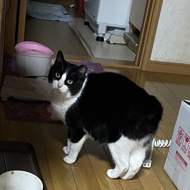憧れのうに姫さま大丈夫かな？？くまは心配で心配で…