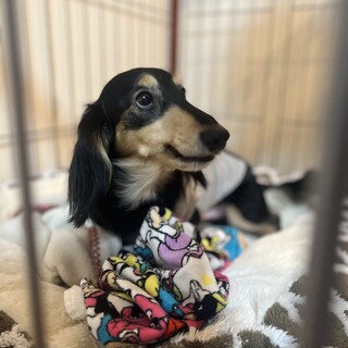 一旦ストップ致します