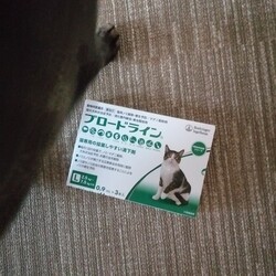 「駆除剤の話」サムネイル2