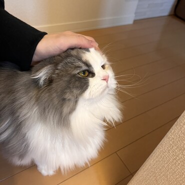 の写真