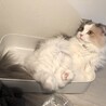 の写真