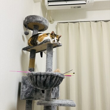 狭くないのかい？