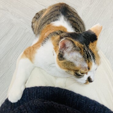 まだお仕事行かないでね