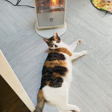 ぬくぬく