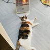 ぬくぬく
