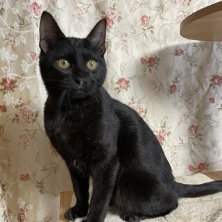 美男子：甘えます青波くん