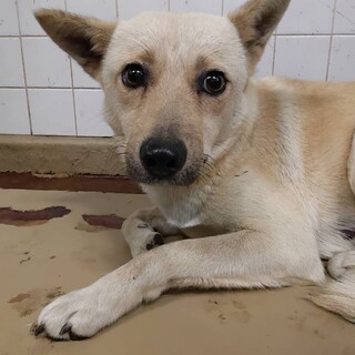 28日月曜日朝まで期限になります