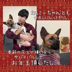 「香港のLuluちゃん」サムネイル2