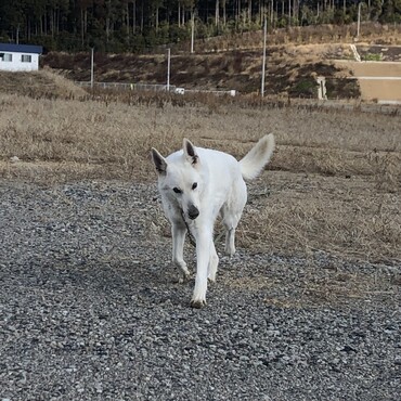 なな　8才　わたくし　56才になりました。ハッピーバースデイ！！