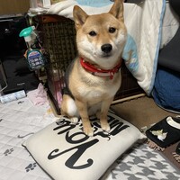 松谷　華