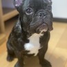 haru101715 さん