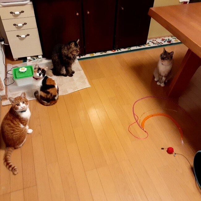 ぱんぱか太一のカバー写真