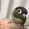 愛(アイ)