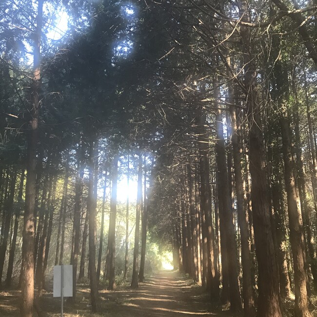 アニャ子のカバー写真
