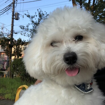 の写真
