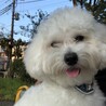 の写真