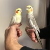 の写真