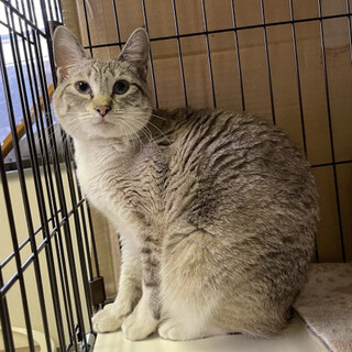 【2/27東銀座】らいむちゃん1歳♪