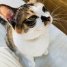私を置いてお仕事行っちゃやだよ