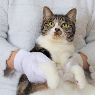 ★一時停止中★おっとり優しい甘えん坊☆オレオちゃん