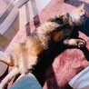 ひなたぼっこ大好き