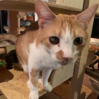 甘えん坊で穏やかな男の子 ユウくん