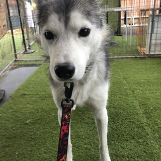 Panel For Life Panel For Life