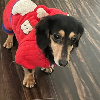 とてもいい子な男の子