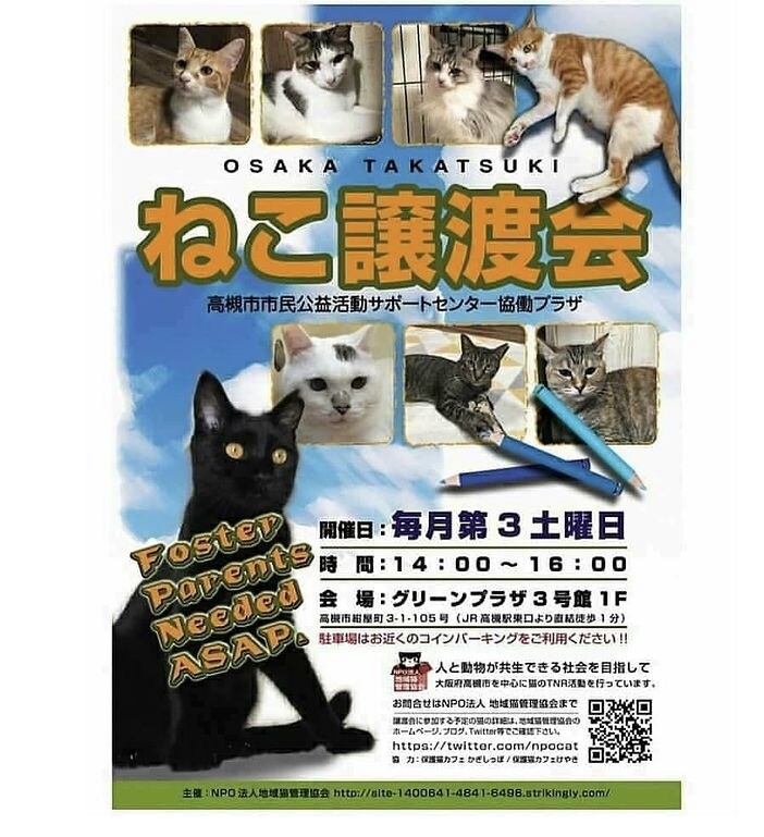 ねこ譲渡会@高槻市」（特定非営利活動法人地域猫管理協会のイベント
