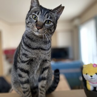 甘えん坊べったりのうめちゃん