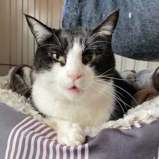 「面談予定」あむぅあむぅ「アム」くん❤