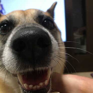 の写真