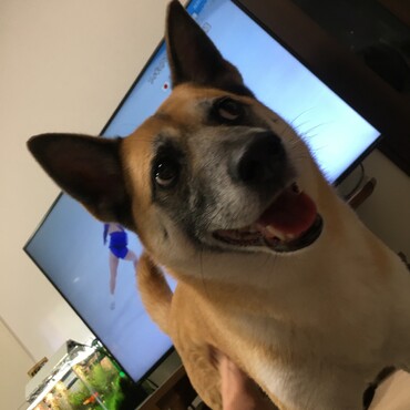 の写真