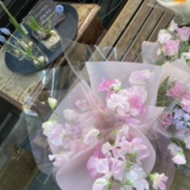 Cathy111のカバー写真