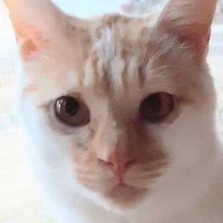 擦り寄って来るフレンドリーな男の子！！