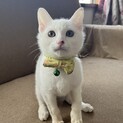 一緒に寝る甘えん坊くん