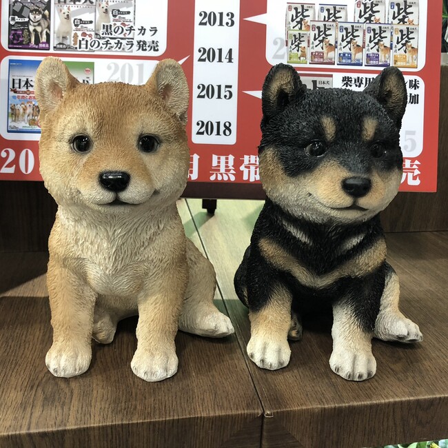 シュバヤマのカバー写真