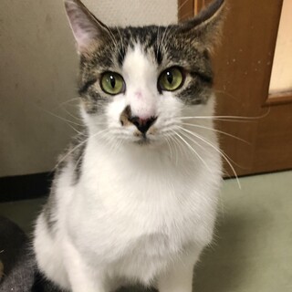 傷だらけで保護された実弥くん、今は甘えん坊さんに♡