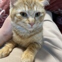 素敵なご家族に迎えていただきました♡さつき