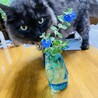 お花かわいいなー